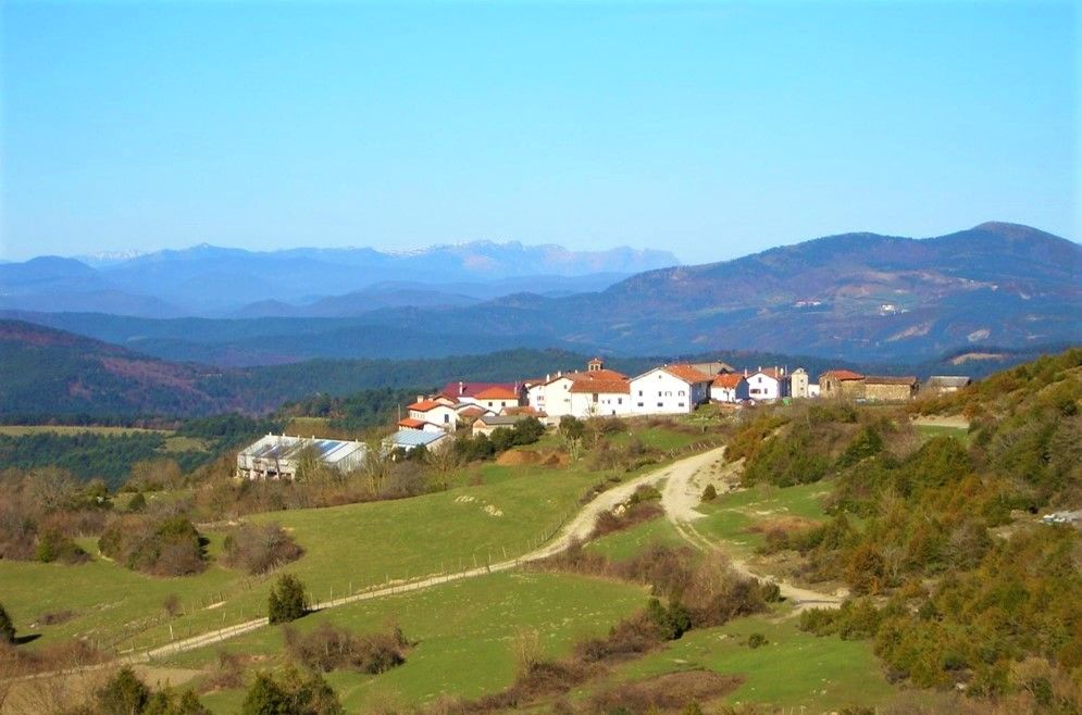 Odoo • Imatge amb peu de foto