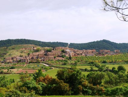 Text d'Odoo i bloc d'imatge