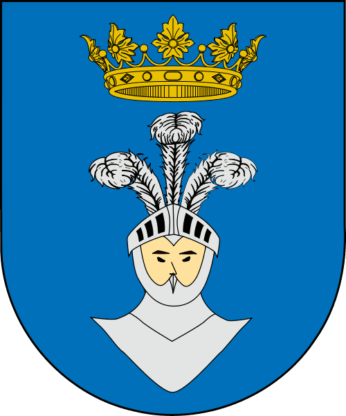 Odoo • Imatge i text