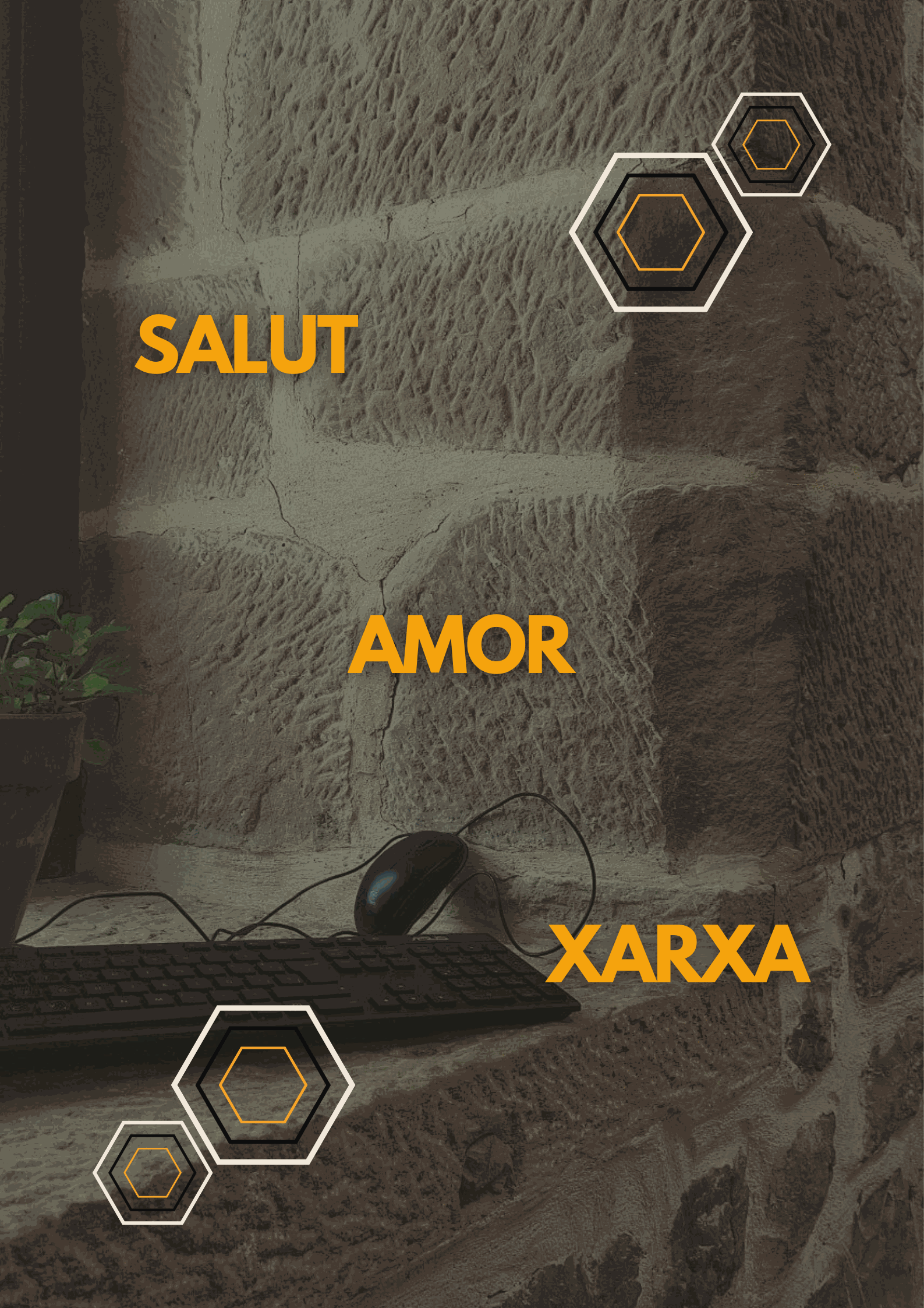 Odoo • Text i Imatge